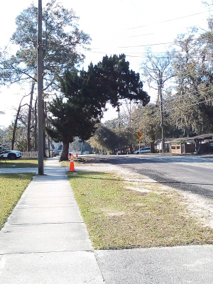 [Growing in the area between the sidewalk and the road is a tree with a relatively wide trunk. The top greenery of the tree is vertical for the lower third but then the upper parts start curving toward the road making an arc as if the tree is trying to grow across the road instead of upward.]